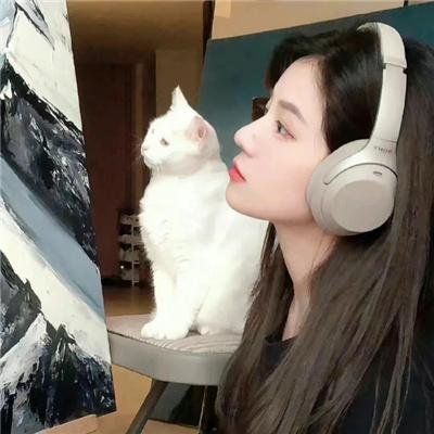 最后的车轮